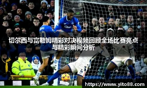 zoty中欧